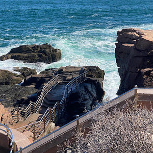 Meet your Posher, Thomas